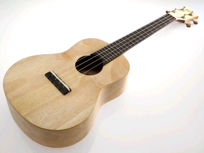 musik-wittl358494