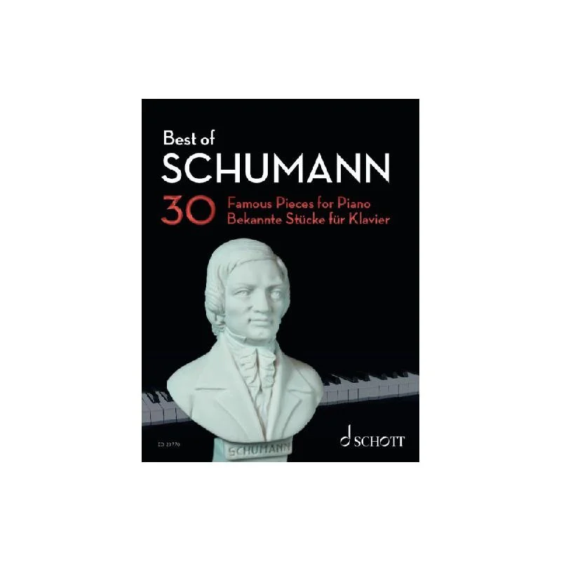 shop.schoeler-pianohaus317409