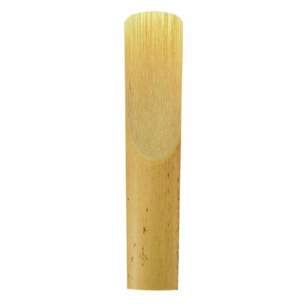 thomann-1695058