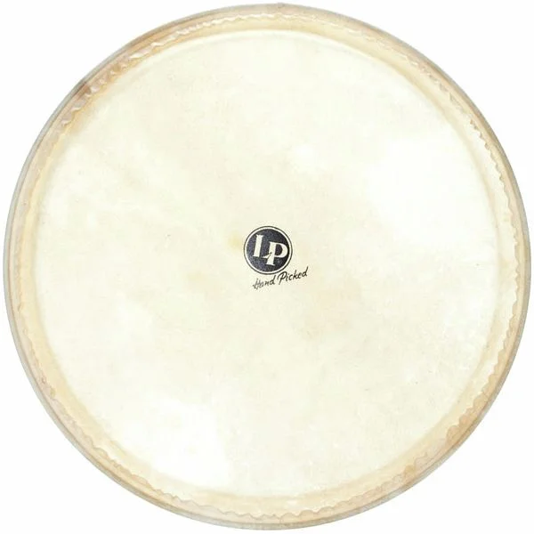 thomann-1918654