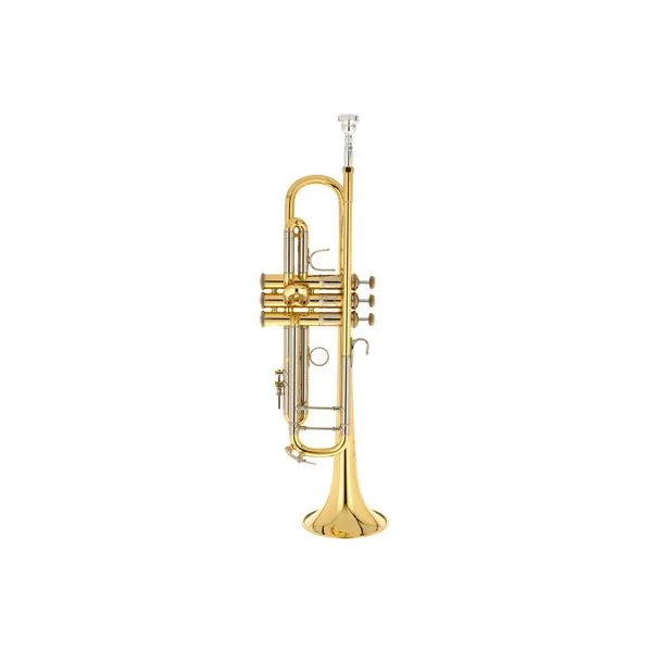 thomann-3254943