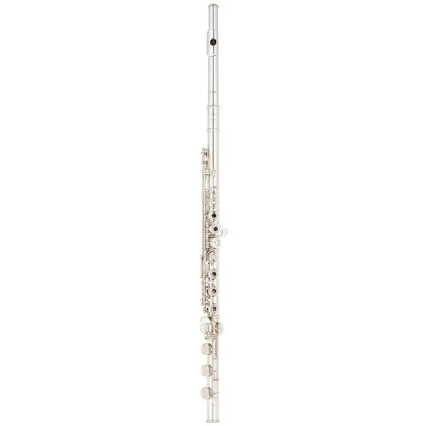 thomann-3802944